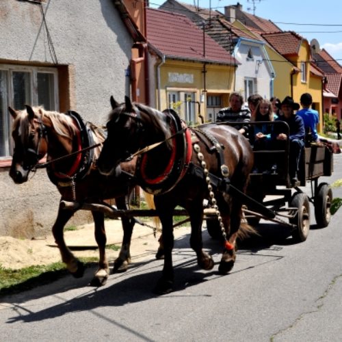 Putování po blatnických búdách